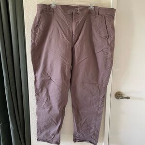 Straight Tapered Cotton Pants